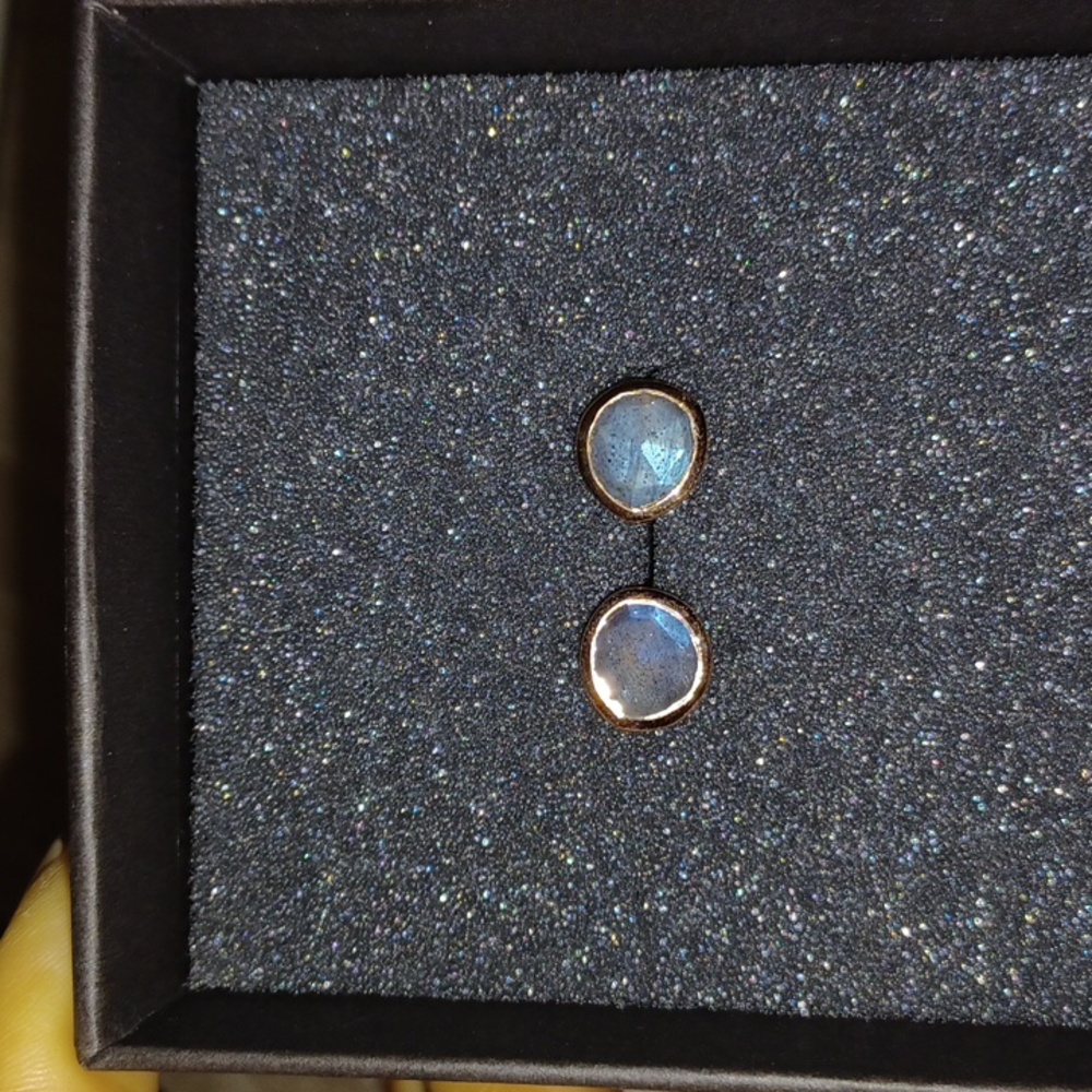 Monica Vinader Earrings
